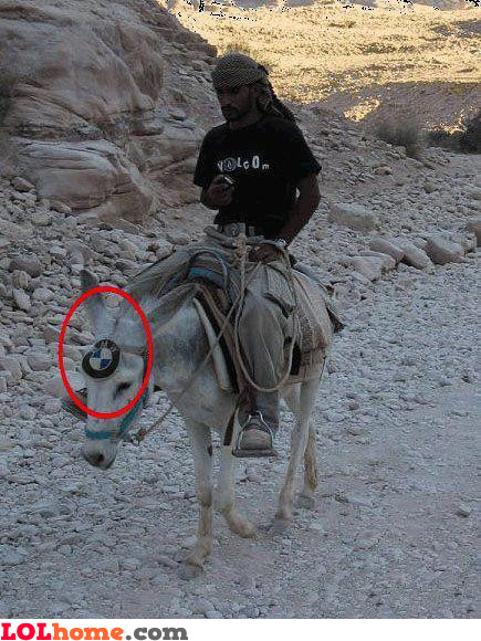 BMW Camel