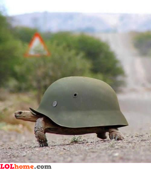 Army turtle shell