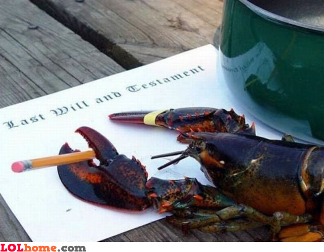 Lobster testament