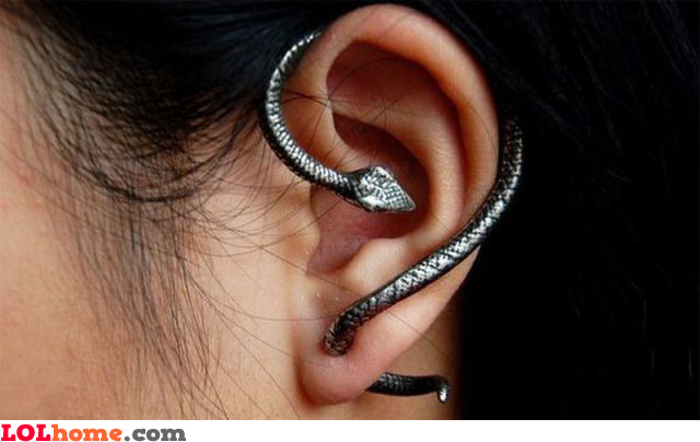 Snake Earrings on Snake Earrings