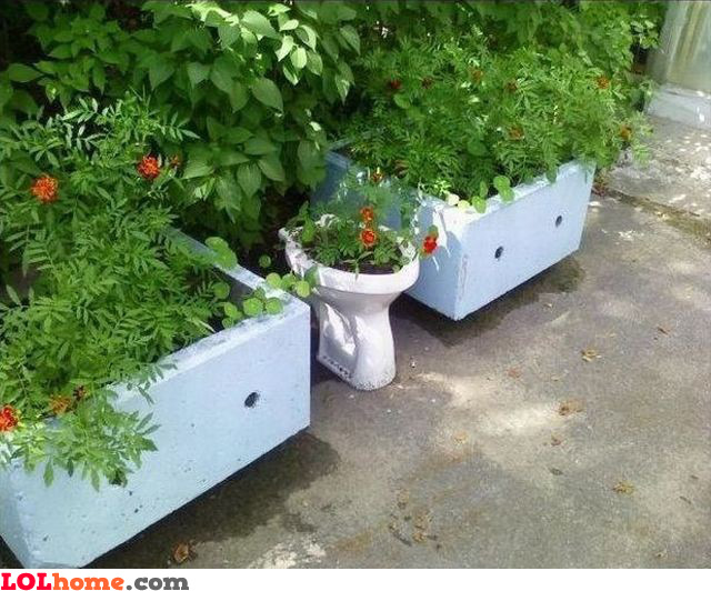 Toilet flowers