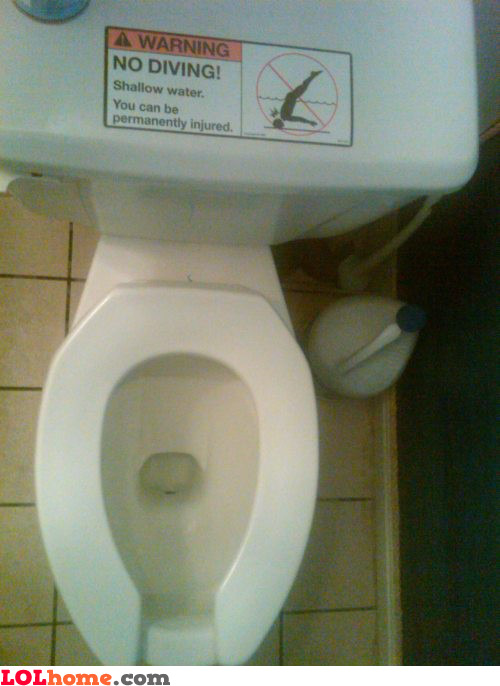 No diving in the toilet