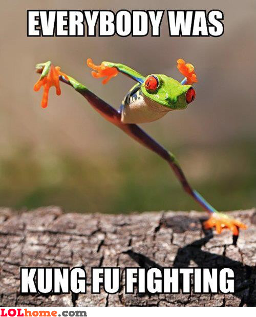 kung-fu-fighting.jpg