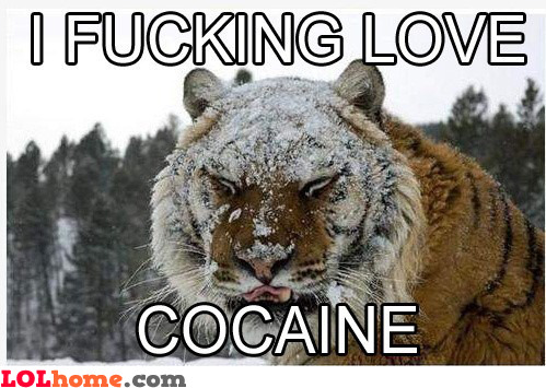 tiger-loves-cocaine.jpg